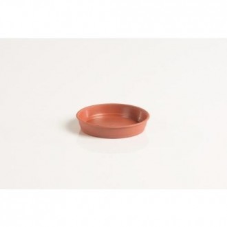 PLATO GARDENIA 8 CENTIMETROS PARA MACETA 10CM