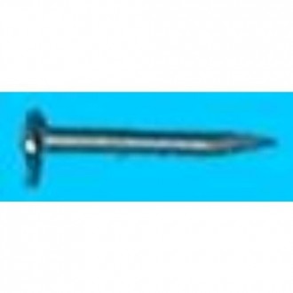 SEMENCE DE 10 CINCADO COINFER BLISTER