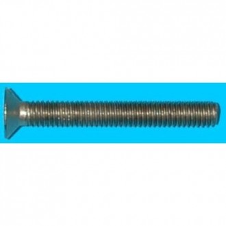 TORNILLO C/PL. METRICA 6X60 ZN. BLISTER