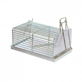 TRAMPA CINCADA PARA RATAS 200X120X9