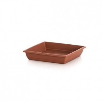 PLATO CUADRADO GARDENIA 21 X 21 509038