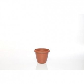 MACETA GARDENIA 22X19 CENTIMETROS