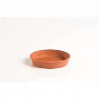 PLATO GARDENIA 10CM PARA MACETA 14CM