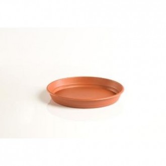 PLATO GARDENIA 26CENTIMETROS PARA MACETA 32CM