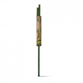 SET TUTORES TOMATE 150CM