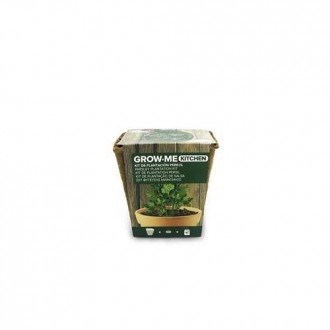 KIT SIEMBRA GROW ME KITCHEN PEREJIL GIGANTE 1GR