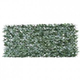 CELOSIA EXTENSIBLE MIMBRE HIEDRA 1X1,5 M.