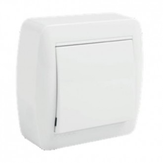 INTERRUPTOR BIPOLAR 10AX 250V. SUPERF.BCO. MUR22U